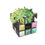 Battered Puzzle Cube