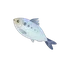 Allis Shad