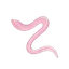 Blind Cave Eel