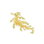 Leafy Sea Dragon