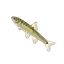 Moapa Dace