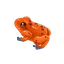 Splendid Poison Frog