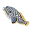 Splendid Toadfish