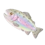 Rainbow Trout