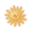 Sunflower Sea Star