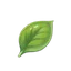 Basil
