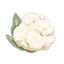 Cauliflower