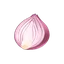 Onion