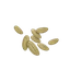 Cumin