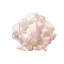 Salt