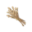 Flax
