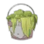 Sewer Algae