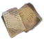 Torn Pages