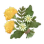 Wild Greens
