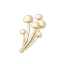 Enoki Mushrooms