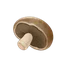 Portobello Mushrooms