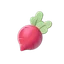 Radish