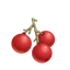 Wild Berries