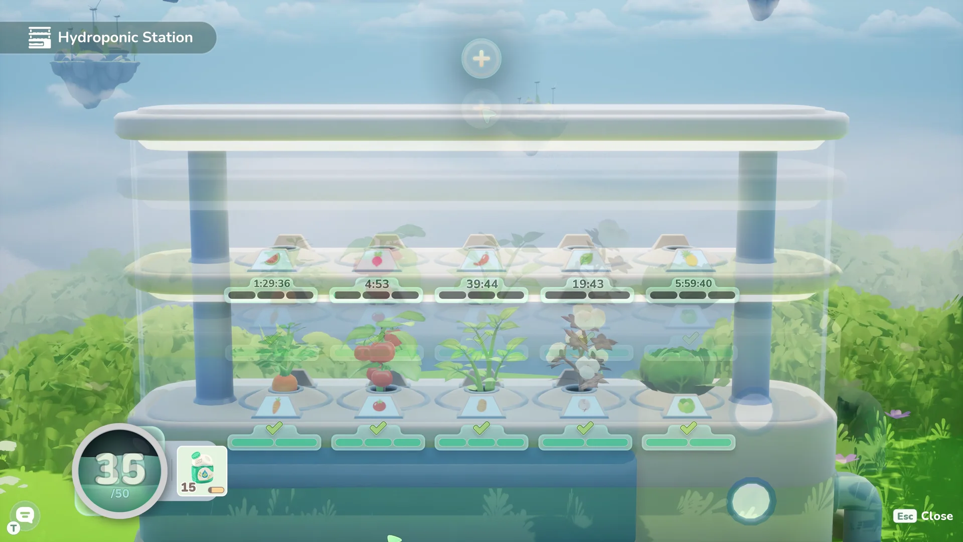 Hydroponic station with plants growing on glass shelves