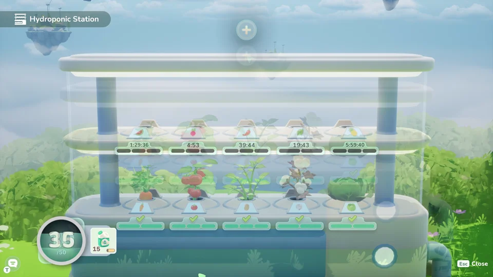 Hydroponic station with plants growing on glass shelves